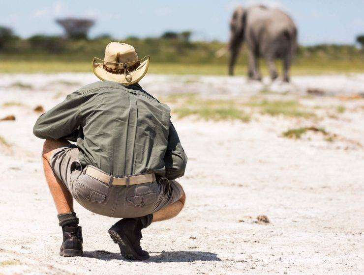 Kenya Safari Tips and Tricks