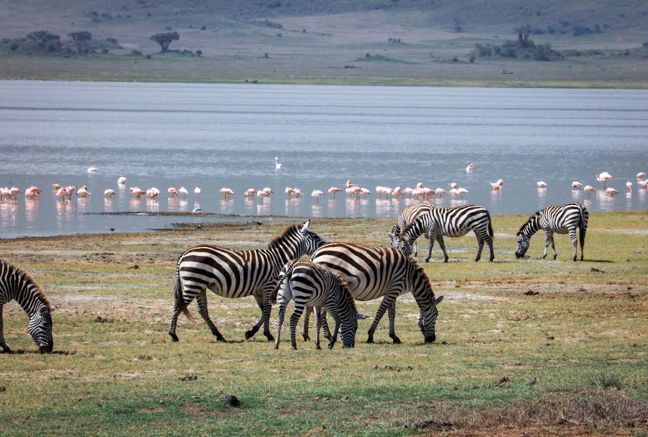 Lake Manyara