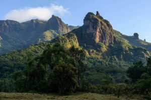 Ethiopia 7 Days Trekking to The Bale Mountains