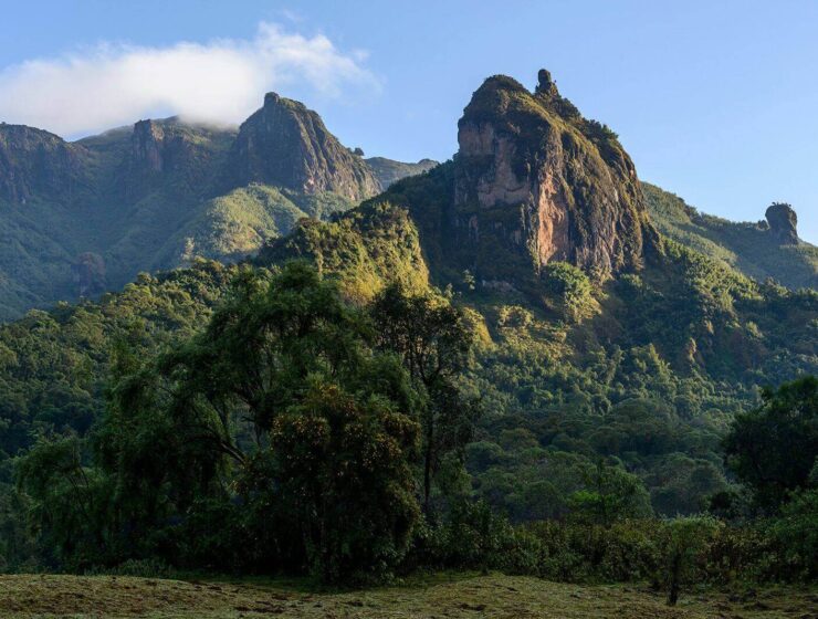 Bale Mountains Ethiopia