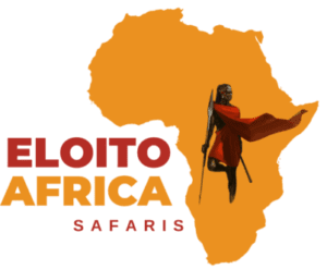 Eloito Africa Safaris Logo transparent compressed