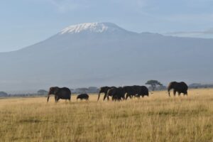 Kenya and Tanzania 10 Days Grand Tour