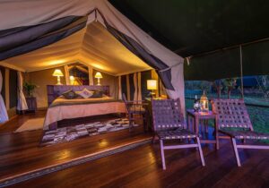Little Governor's Camp Maasai Mara