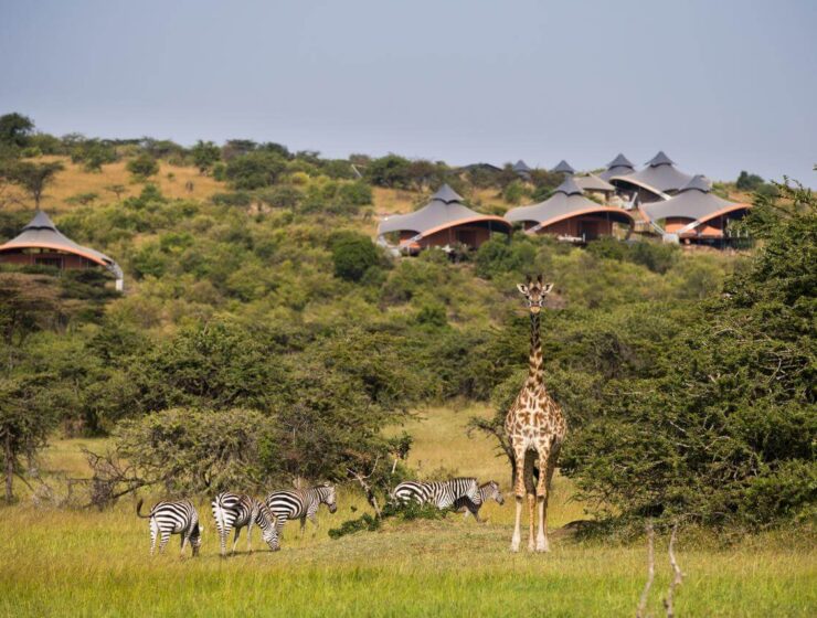 Mahali Mzuri wildlife in Motorogi Conservancy
