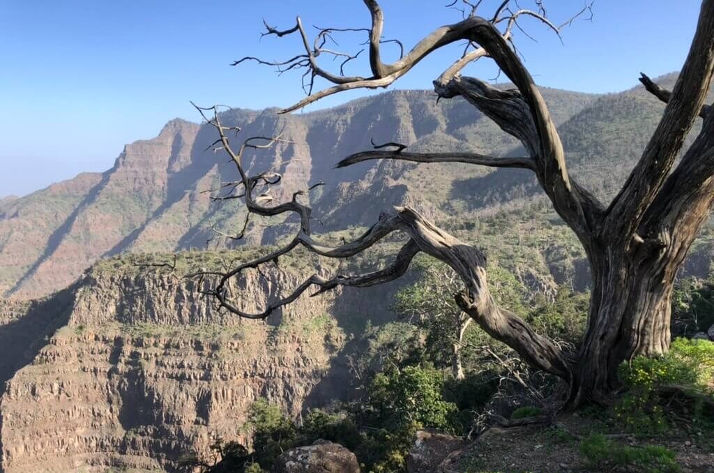 The Goda Mountains, Djibouti