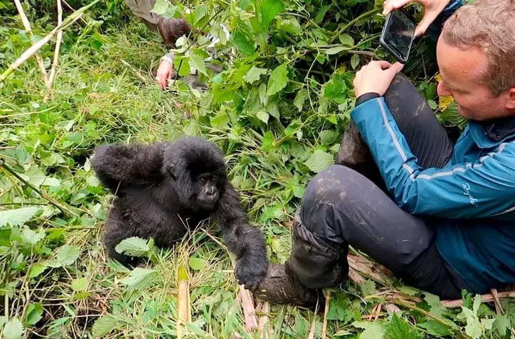 Long sleeves and Gaiters for Gorilla trekking