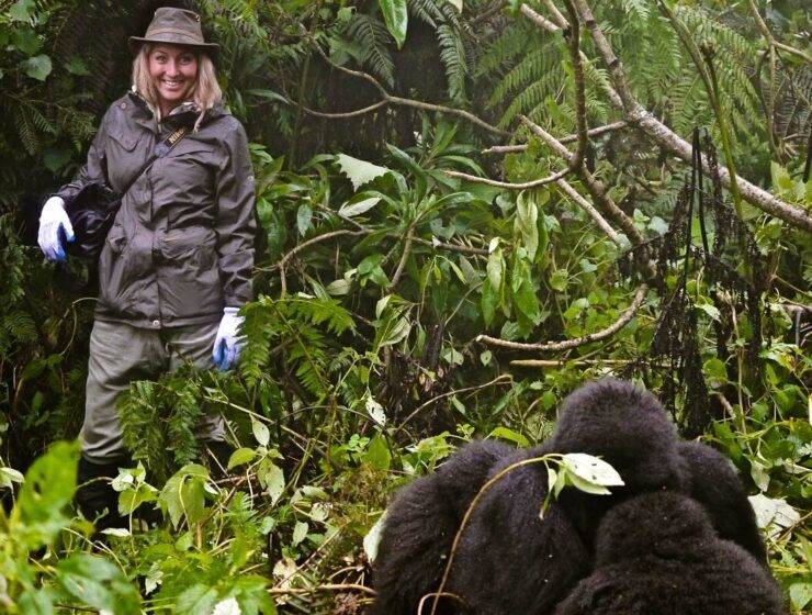 What to wear Gorilla trekking