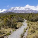 Kilimanjaro Route for Beginners