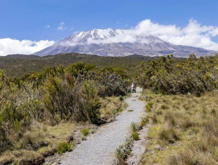 Kilimanjaro Route for Beginners