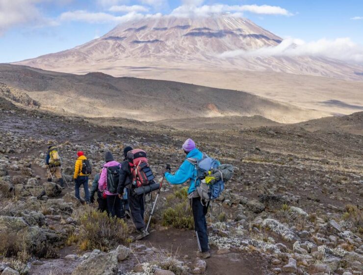 Mount Kilimanjaro 8 day Lemosho route