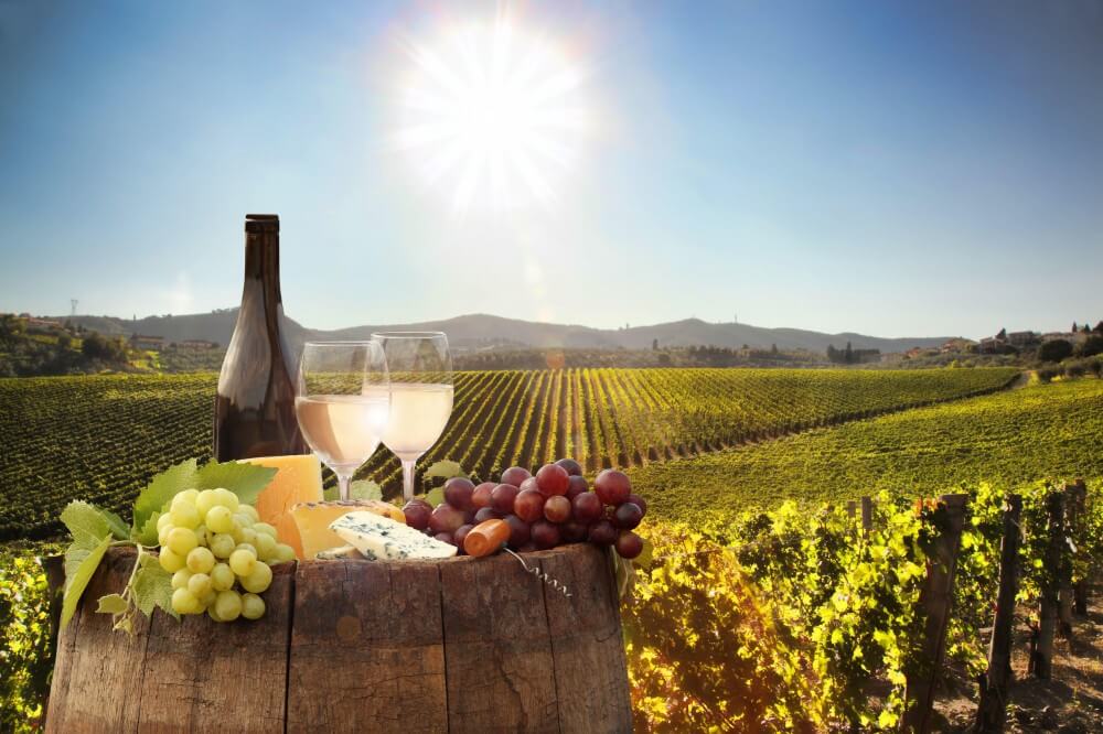 Cape Winelands South Africa