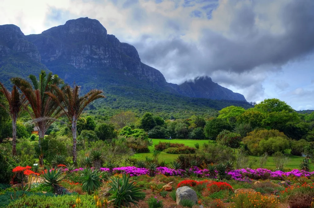 Kirstenbosch Botanical Gardens