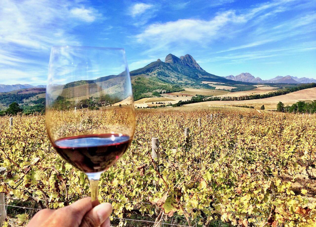 Wine at Winelands region