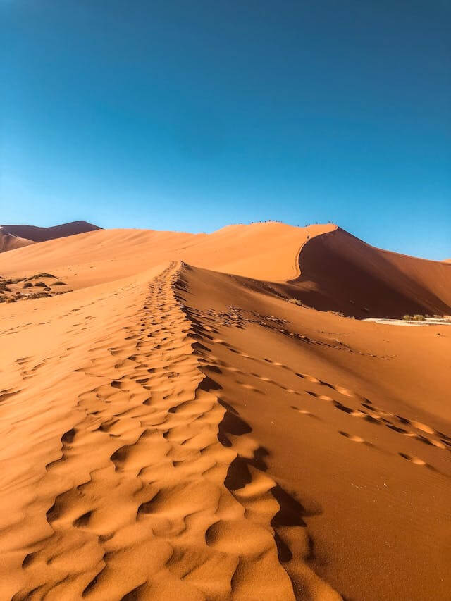 Namib desert