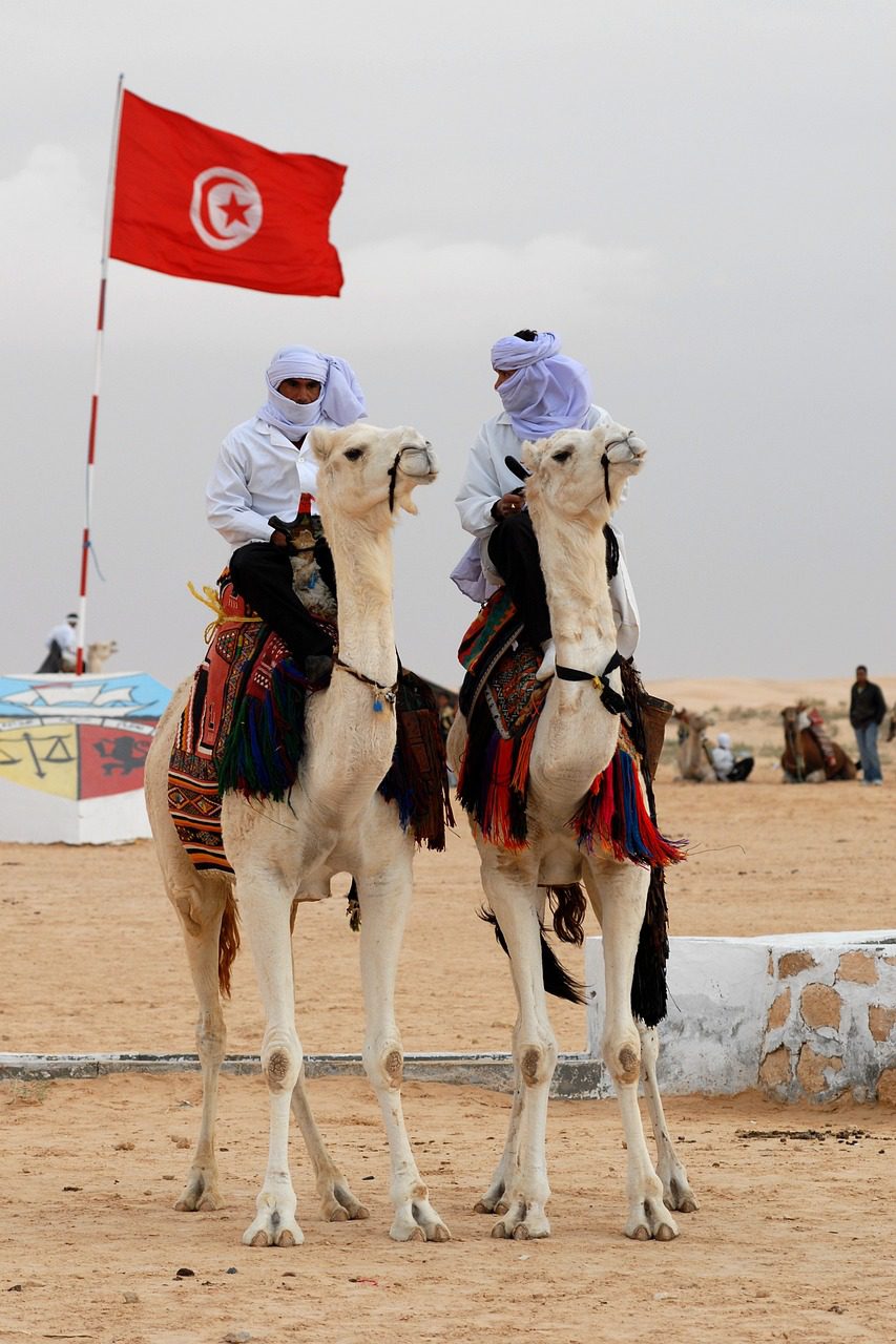 8-Day Tunisia Explorer: Ancient Wonders, Oasis Villages & Stunning Landscapes