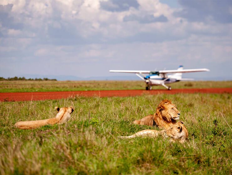 Kenya Flying safari