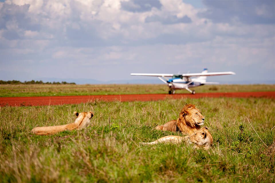 4 Days Kenya Flying Safari (Luxury)