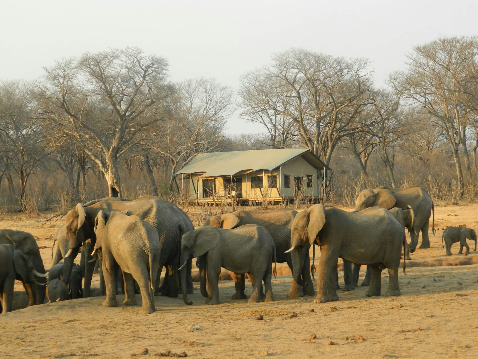 6 Days Victoria Falls Zimbabwe Safari